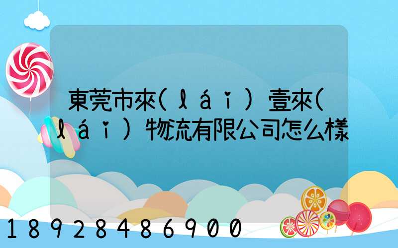 東莞市來(lái)壹來(lái)物流有限公司怎么樣